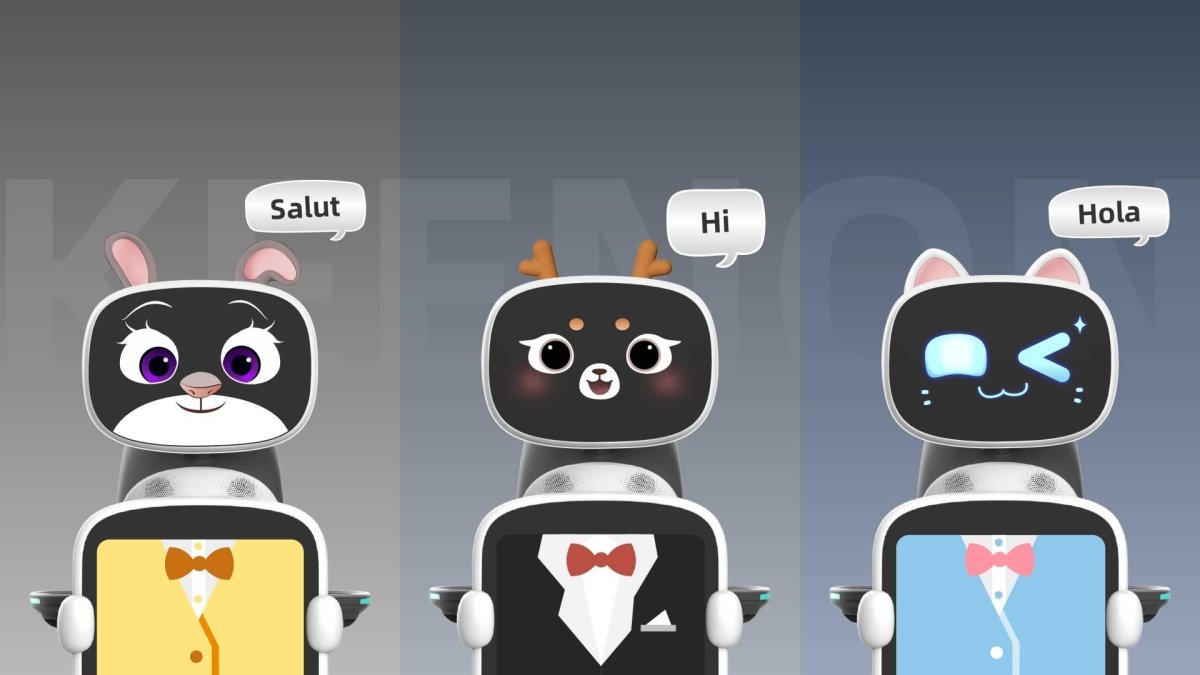 keenon customisation