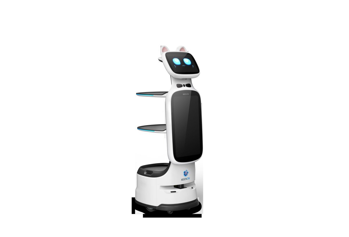 Dinerbot T11
